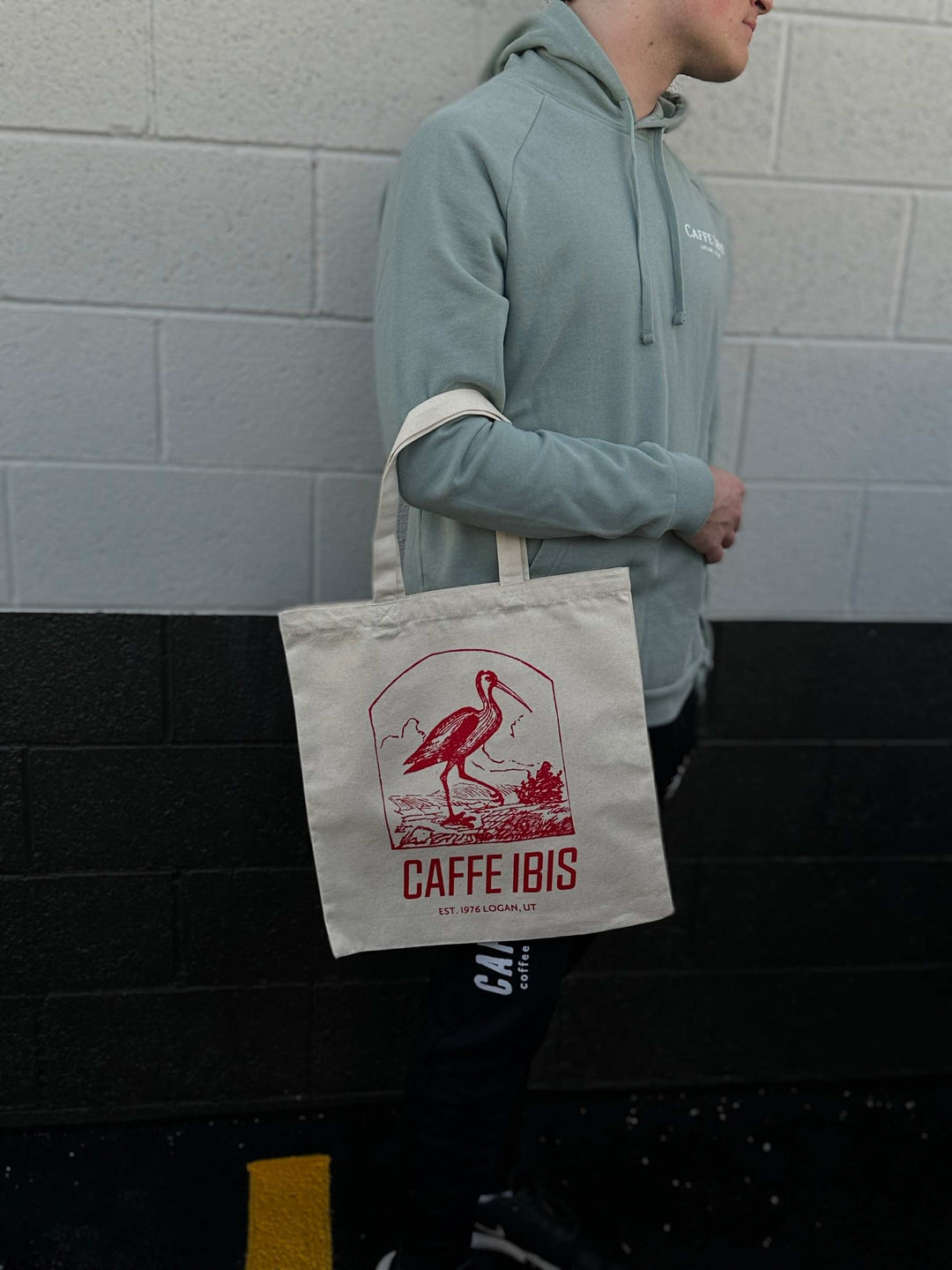 Ibis Horizon Canvas Tote Bag