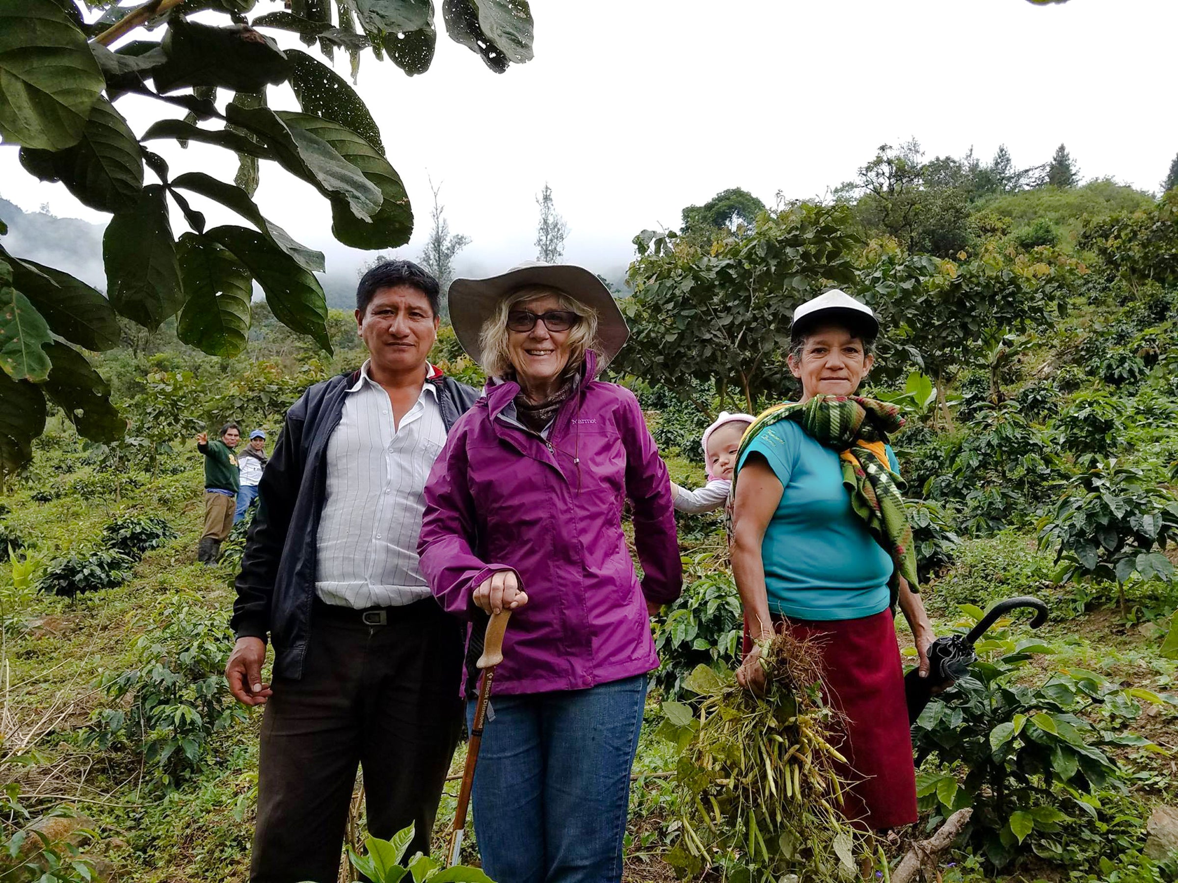 Caffe Ibis fouder, Sally, walking through peruvian coffee farm with coffee farmers/producers.