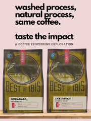 Text: washed process, natural process, same coffee. taste the impact. a coffee processing exploration; two 12oz Best of Ibis bags of Gukaraba and Inkomoko.